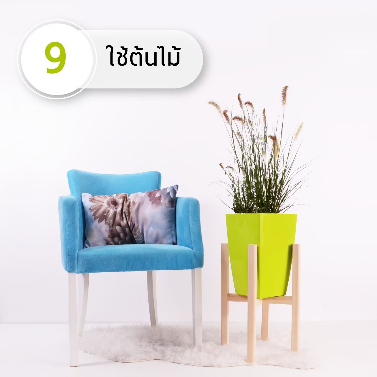 ม่านชลบุรี
